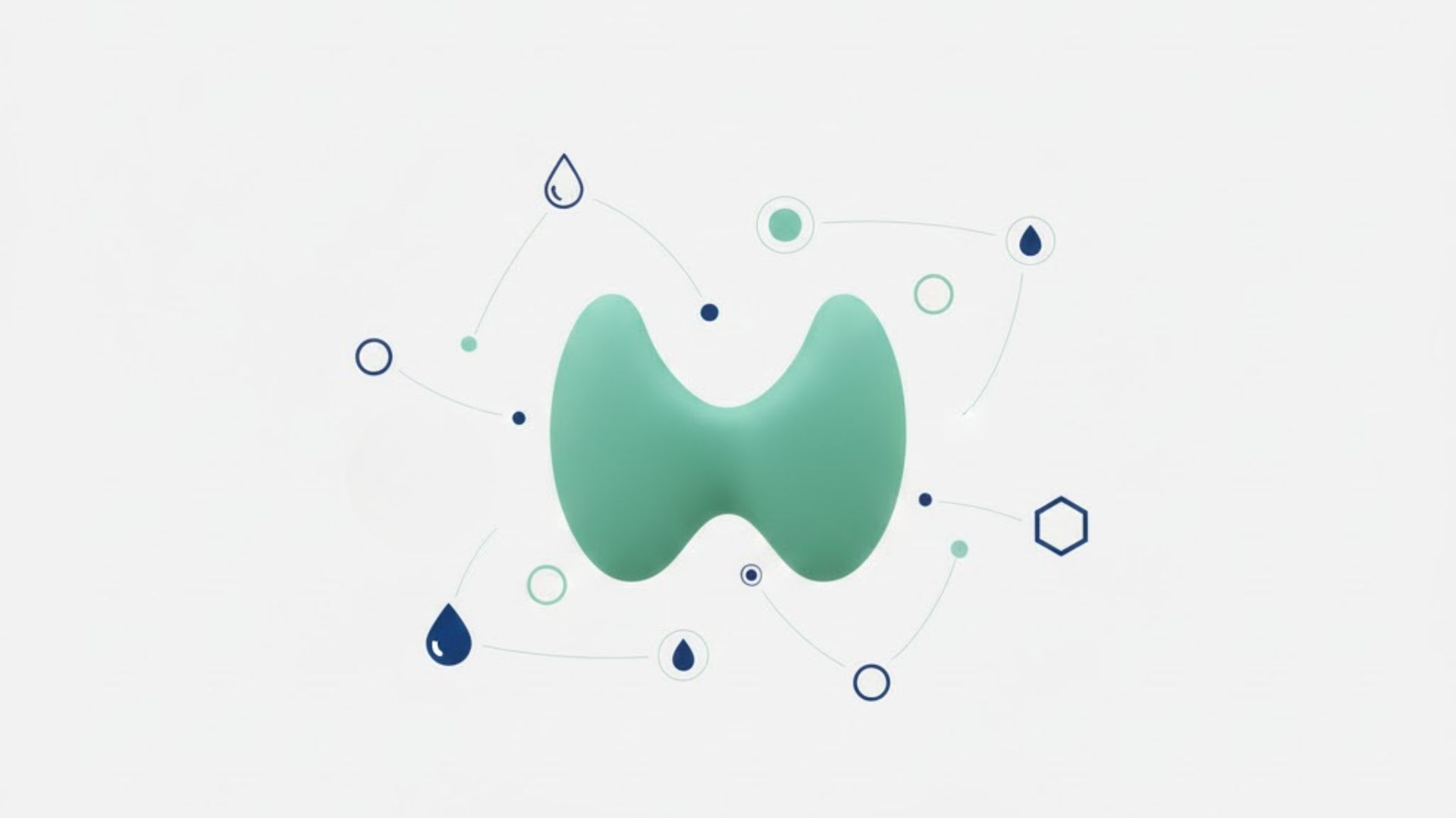 Atención endocrinológica de tiroides y metabolismo